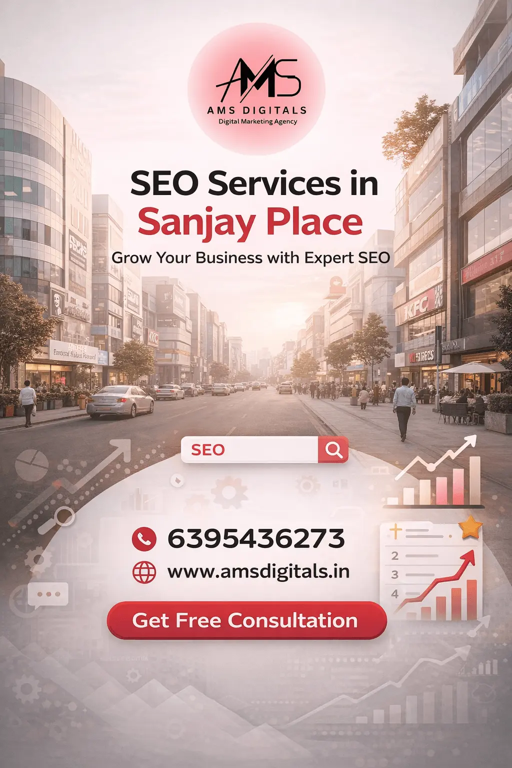 SEO Services in Sanjay place